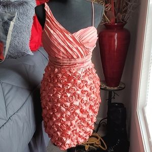 Maria Bonita (Rose petal) Dress